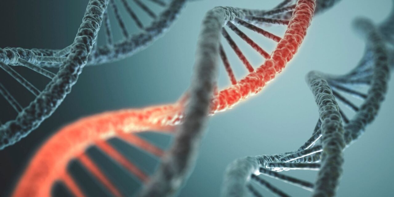 Ljudski DNK je neverovatno dugačak