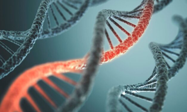 Ljudski DNK je neverovatno dugačak