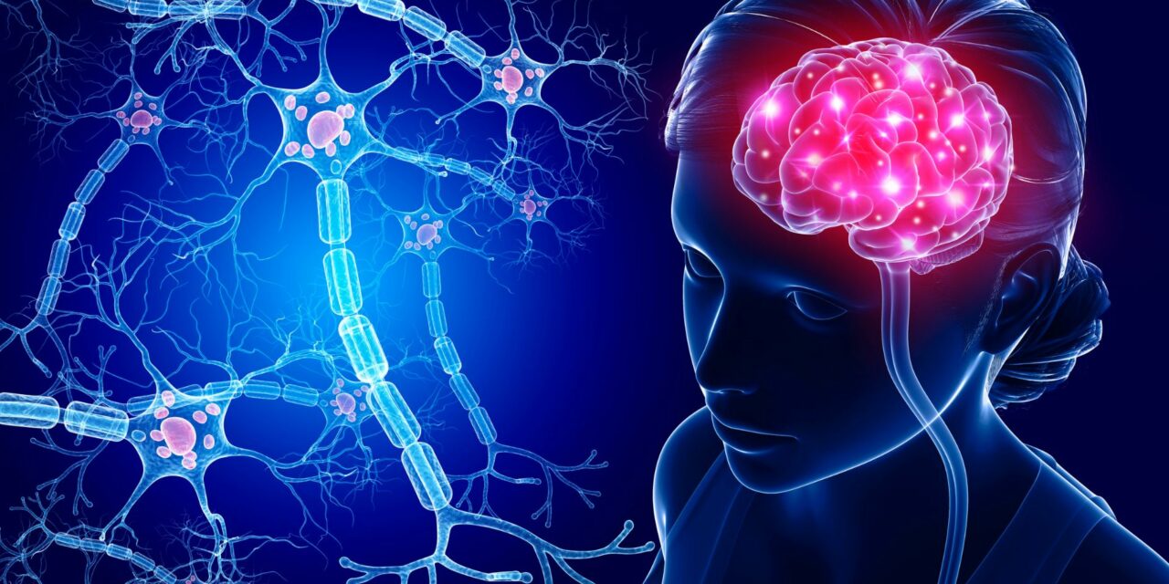 Ljudski mozak ima preko 100 triliona veza