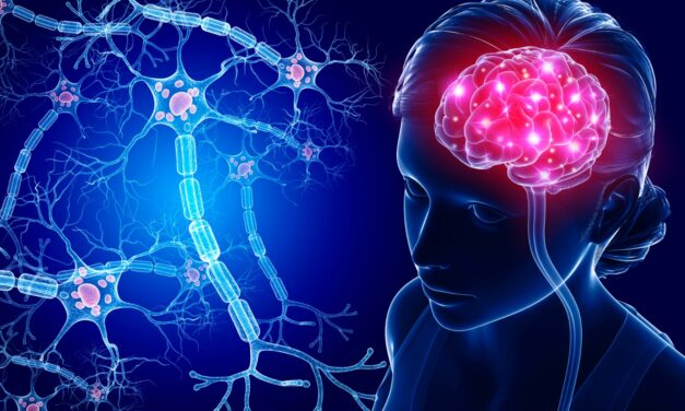 Ljudski mozak ima preko 100 triliona veza
